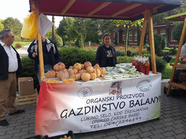 Најбољи органски спанаћ у Србији